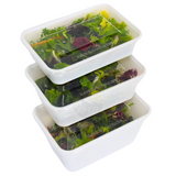 KURTT Meal Prep Behälter Weiß Mit Deckel PP – 50/100 Stück | Mikrowelle Gefrierschrank BPA-frei | 500ml 750ml 1000ml