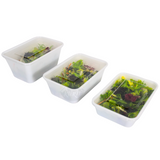 KURTT Meal Prep Behälter Weiß Mit Deckel PP – 50/100 Stück | Mikrowelle Gefrierschrank BPA-frei | 500ml 750ml 1000ml